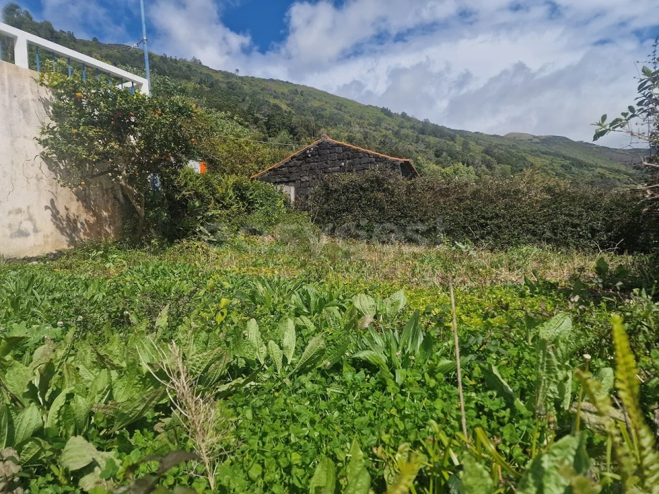 Moradia T3 para Venda em Ribeiras Foto 23