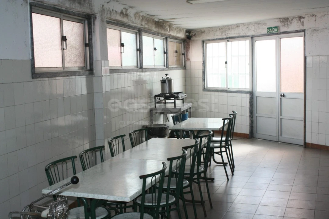 Negócio para Venda em Baleizão Foto 9