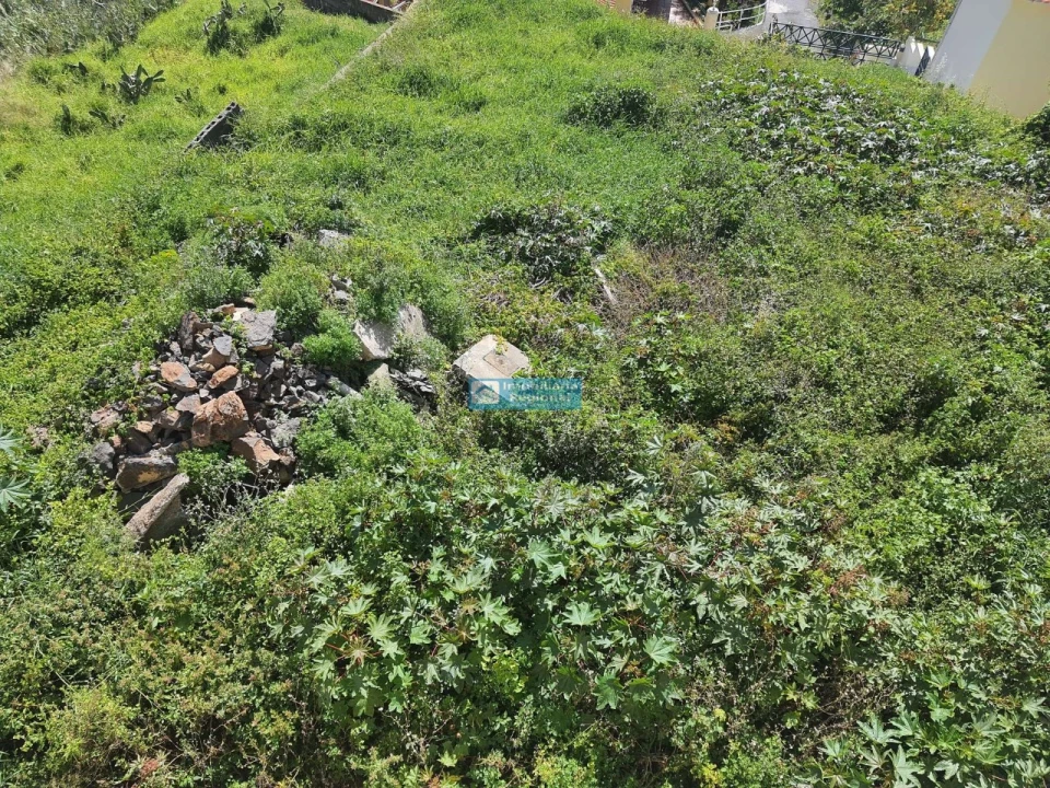 Terreno para Venda em São Gonçalo Foto 10