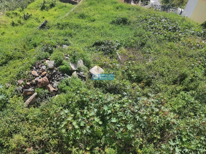 Terreno para Venda em São Gonçalo Foto 10