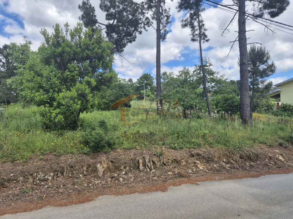 Terreno para Venda em Arroios Foto 3