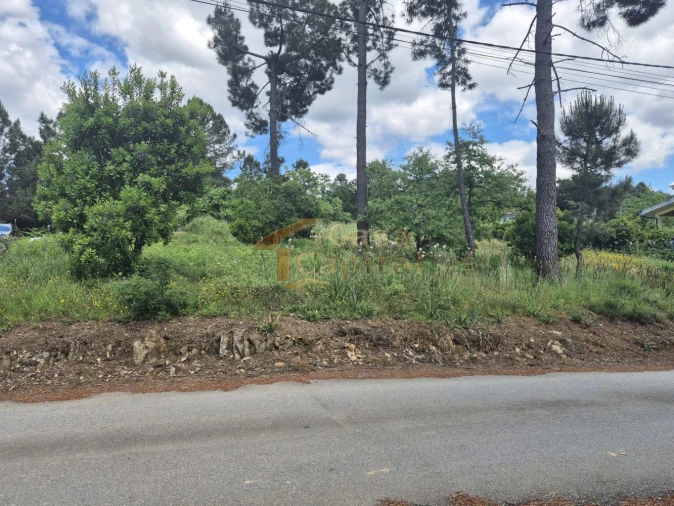 Terreno para Venda em Arroios Foto 2