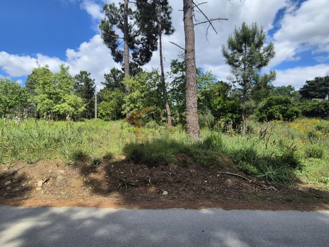 Terreno para Venda em Arroios Foto 4