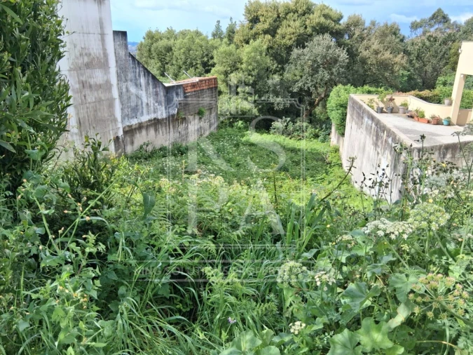 Terreno para Venda em Baguim do Monte (Rio Tinto) Foto 2