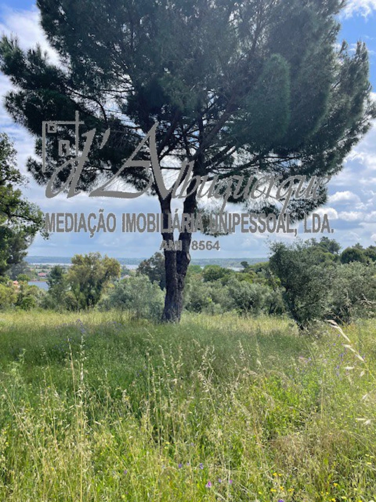 Terreno Misto para Venda em Montargil Foto 1