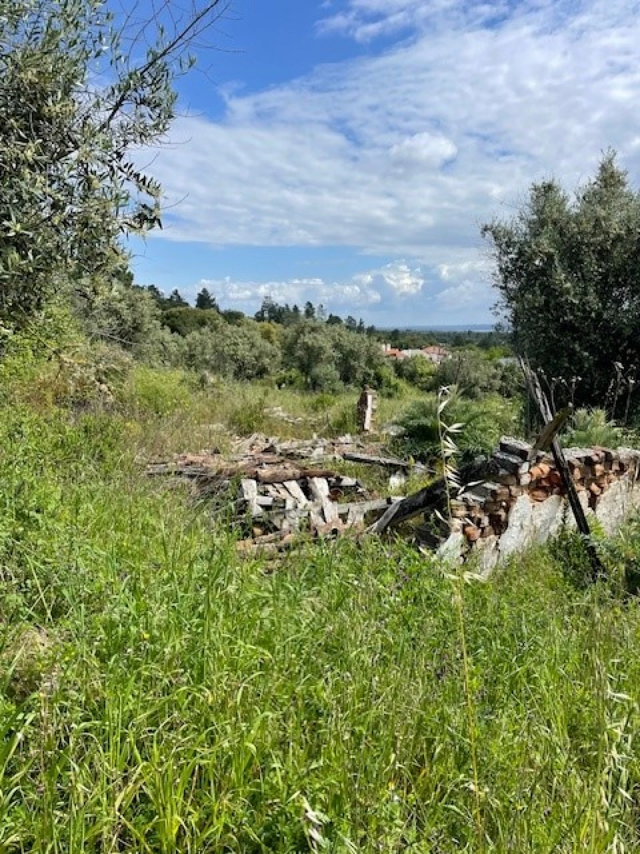 Terreno Misto para Venda em Montargil Foto 3