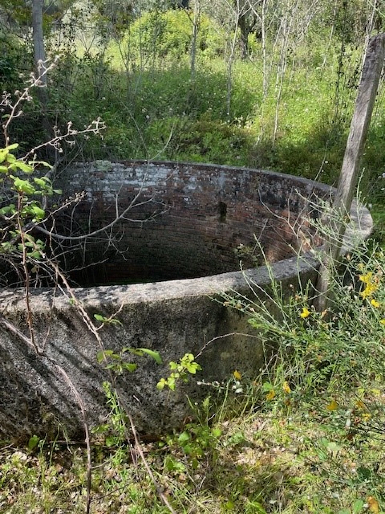 Terreno Misto para Venda em Montargil Foto 13