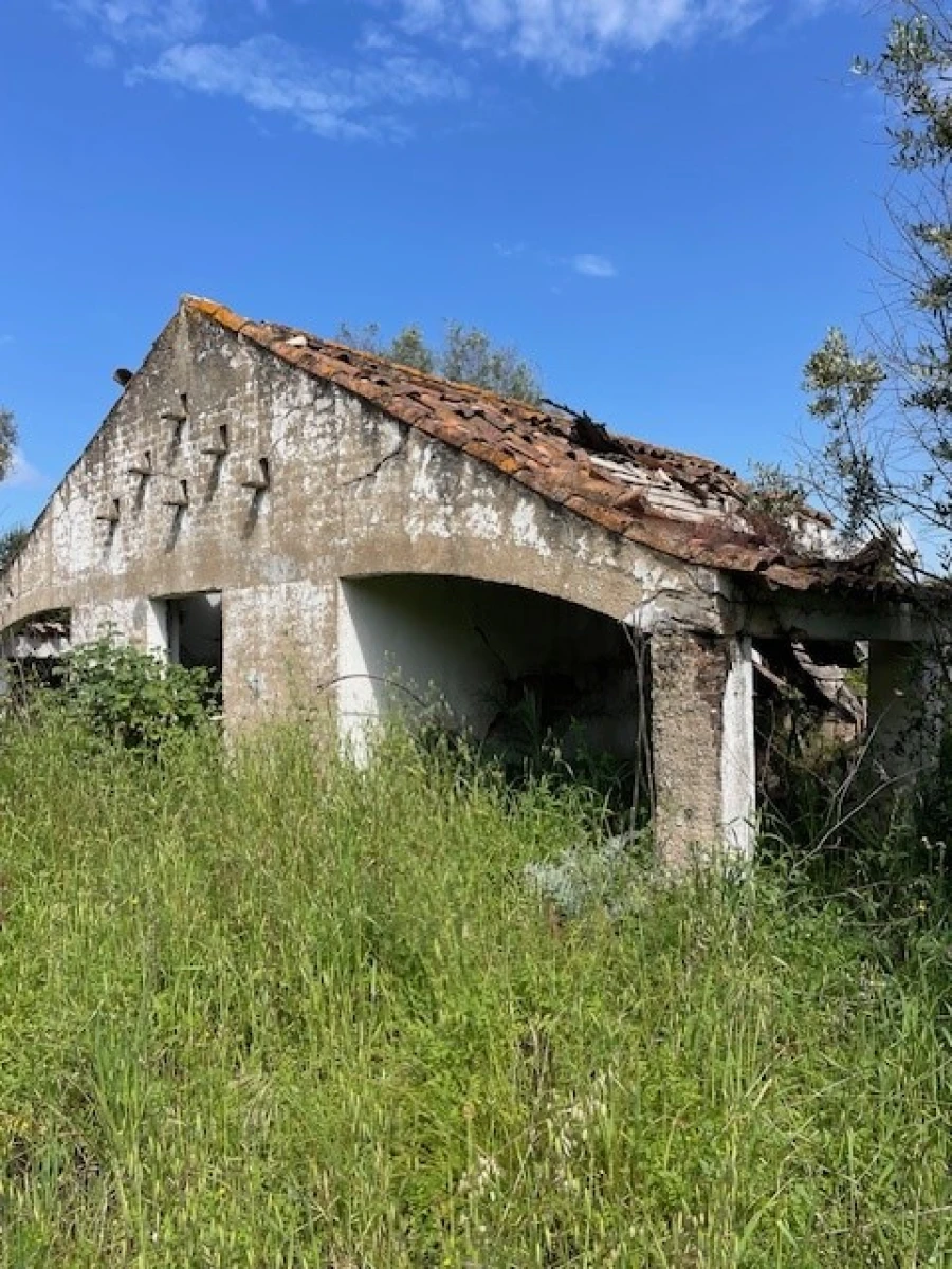 Terreno Misto para Venda em Montargil Foto 2