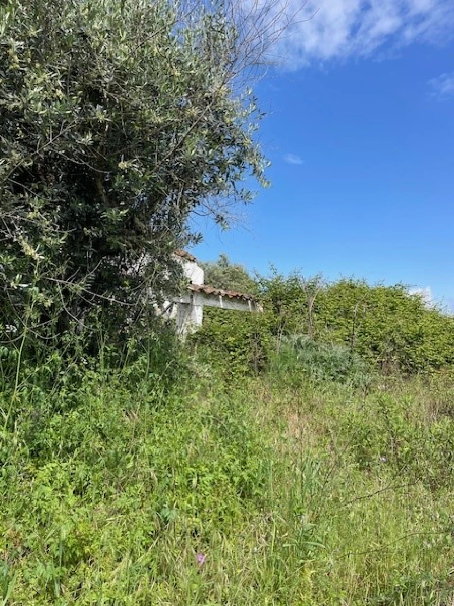 Terreno Misto para Venda em Montargil Foto 6