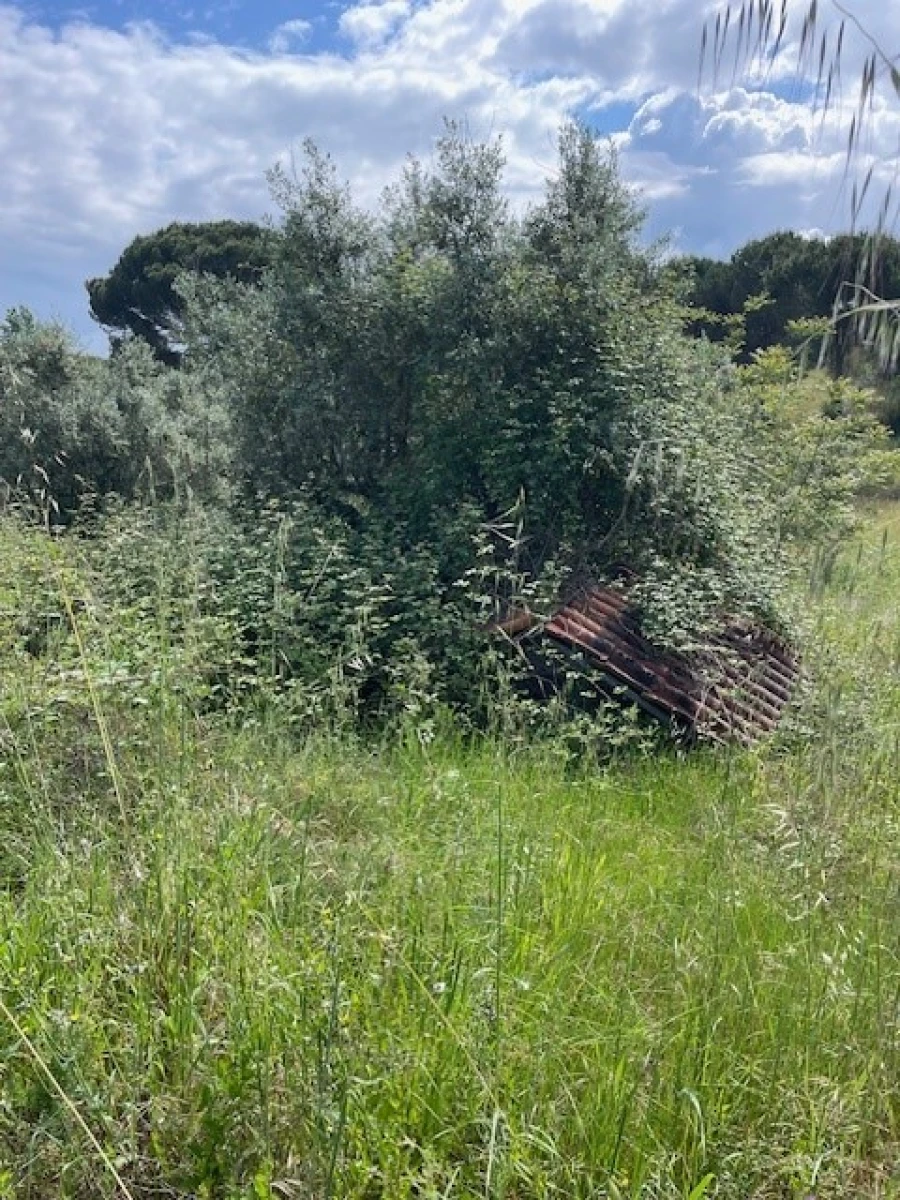Terreno Misto para Venda em Montargil Foto 7