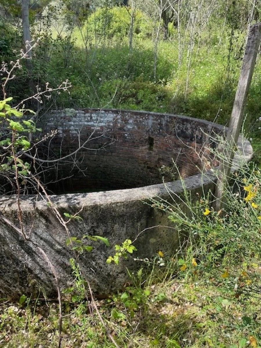Terreno Misto para Venda em Montargil Foto 13