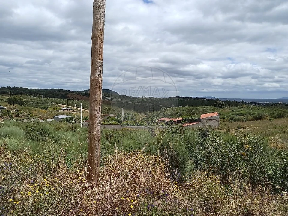 Terreno para Venda em Castelo Branco Foto 2