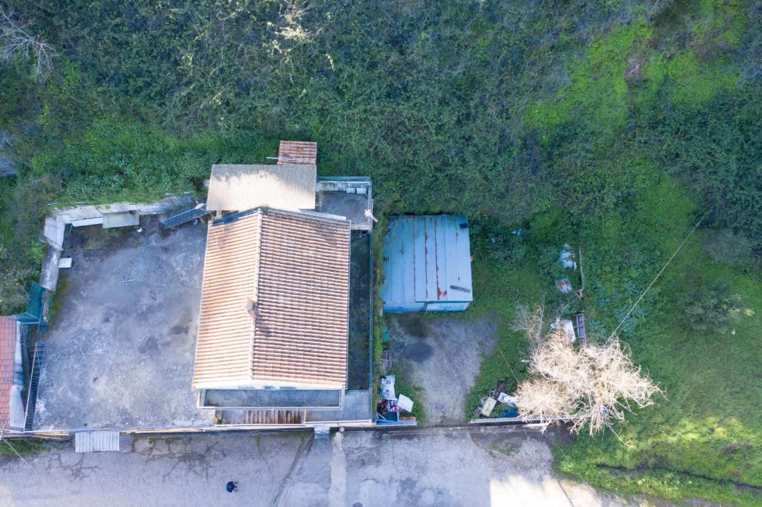 Terreno Agricola ou Rústico para Venda em Barcarena Foto 7