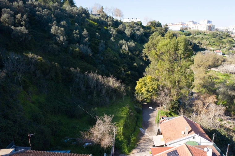Terreno Agricola ou Rústico para Venda em Barcarena Foto 4
