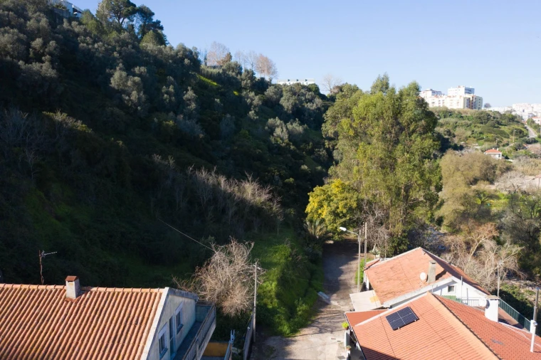 Terreno Agricola ou Rústico para Venda em Barcarena Foto 5