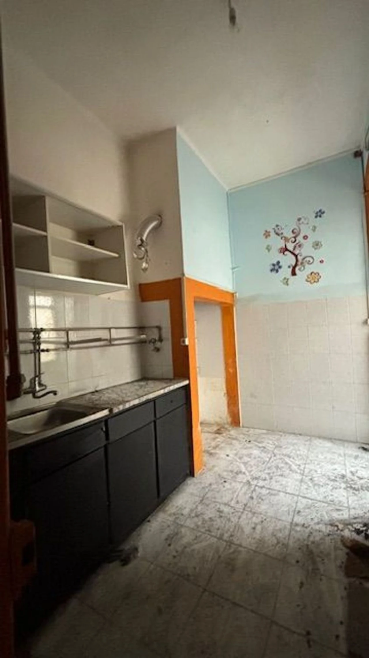 Prédio para Venda em Belazaima do Chão, Castanheira do Vouga e Agadão Foto 7