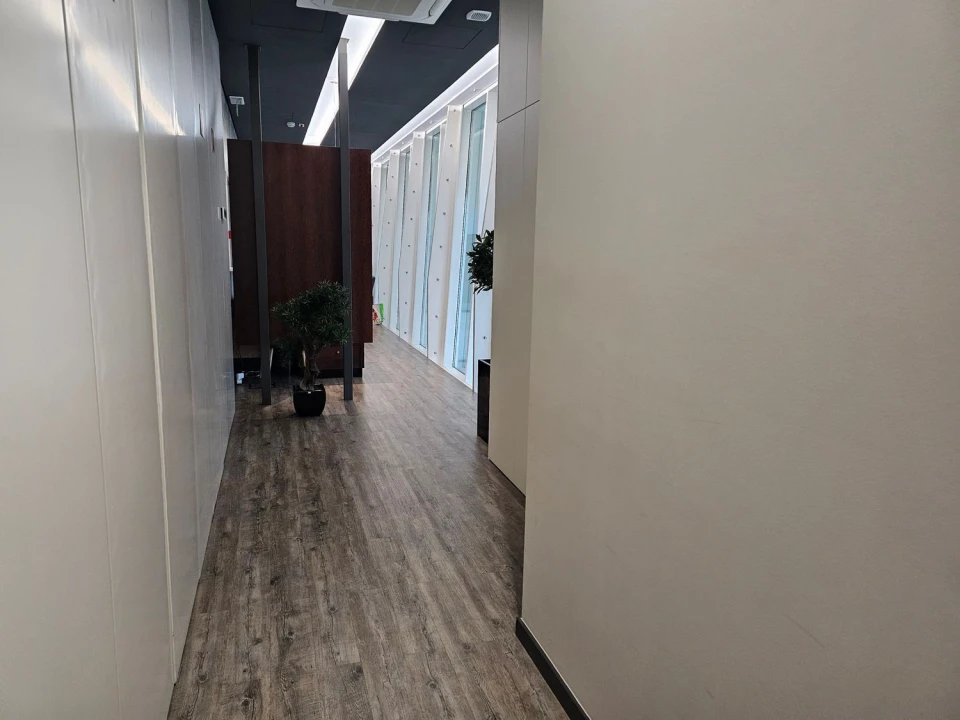 Negócio para Venda em Belazaima do Chão, Castanheira do Vouga e Agadão Foto 15