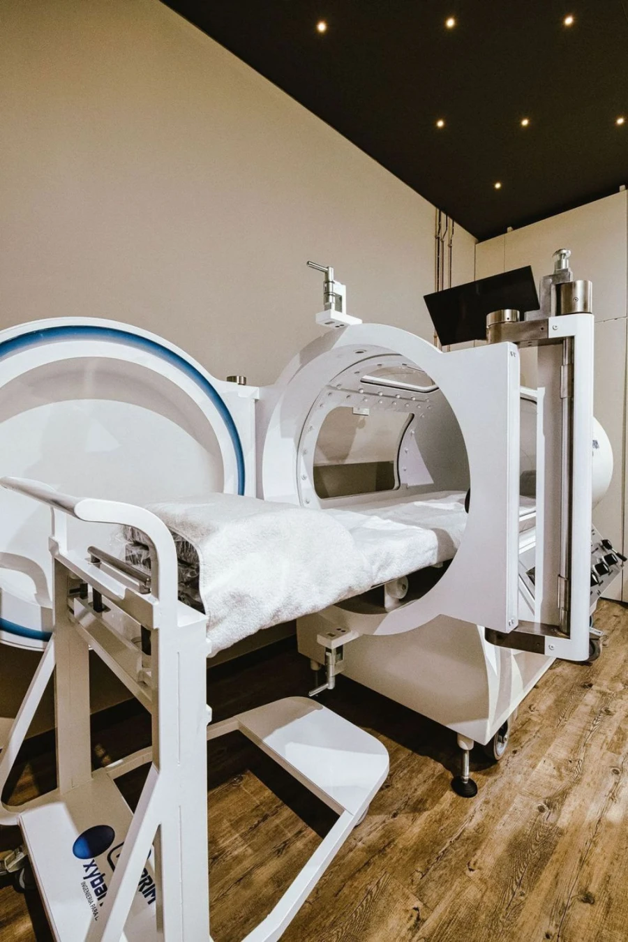 Negócio para Venda em Belazaima do Chão, Castanheira do Vouga e Agadão Foto 9