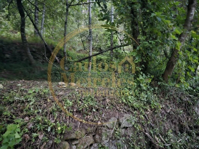 Moradia para Venda em Caires Foto 10