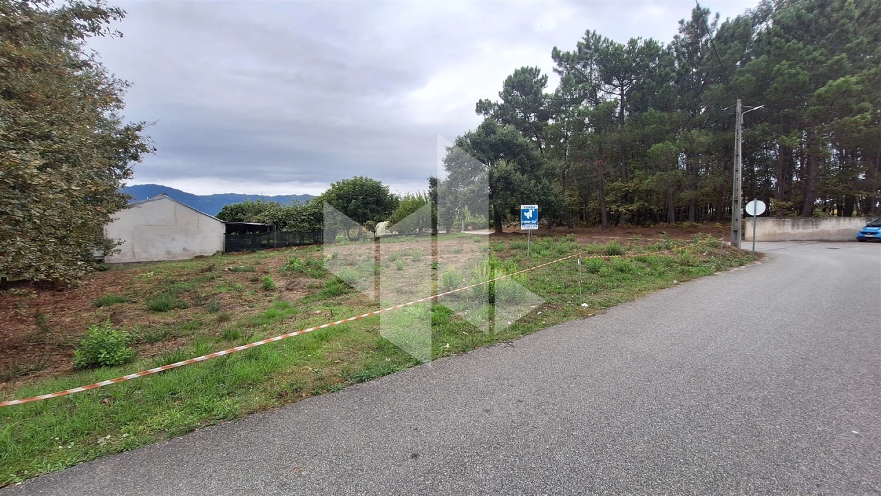 Terreno para Venda em Tondela e Nandufe Foto 5