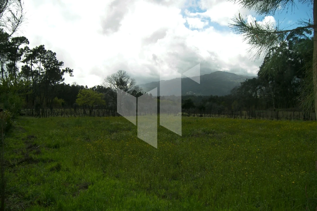 Quinta T0 para Venda em Campo de Besteiros Foto 7