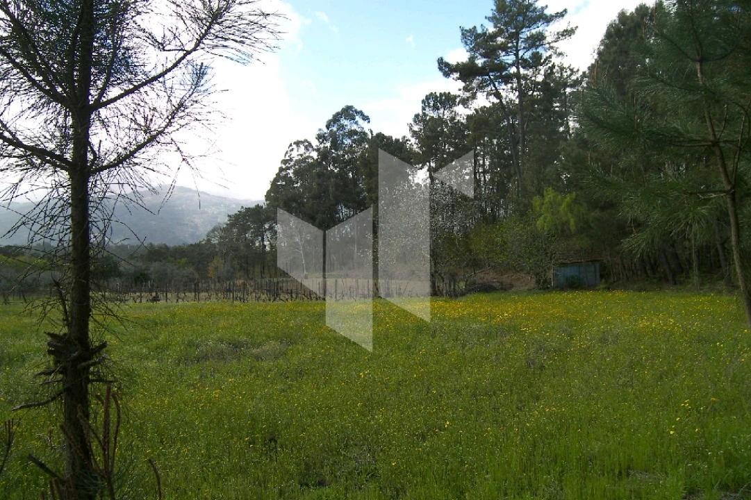 Quinta T0 para Venda em Campo de Besteiros Foto 9