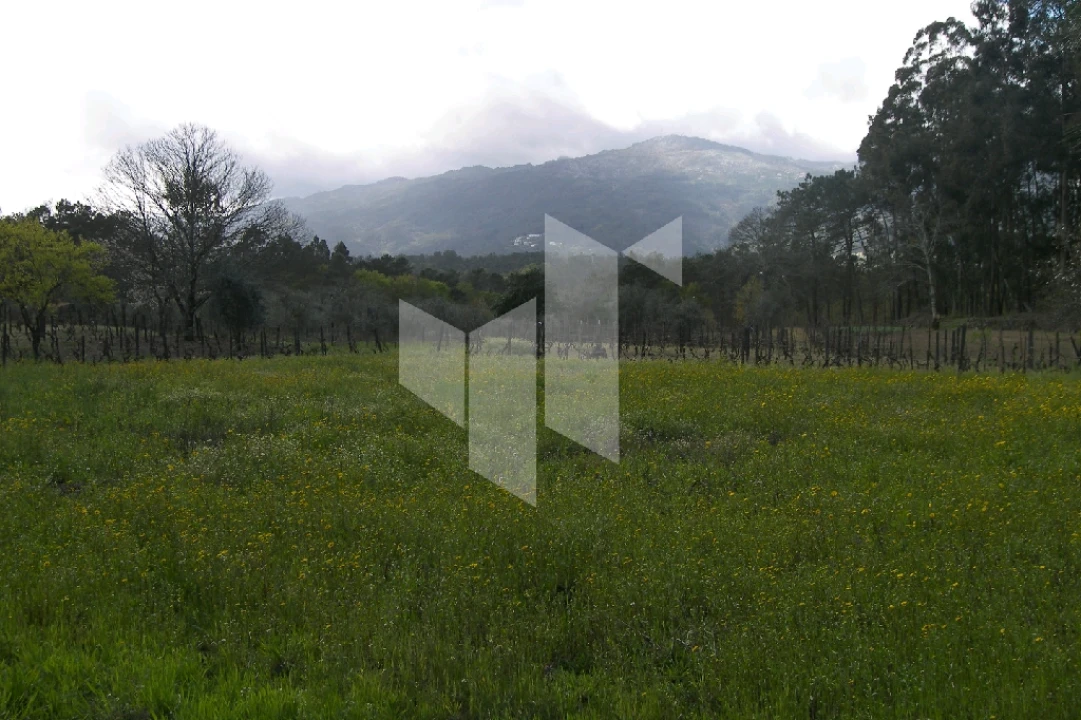 Quinta T0 para Venda em Campo de Besteiros Foto 11