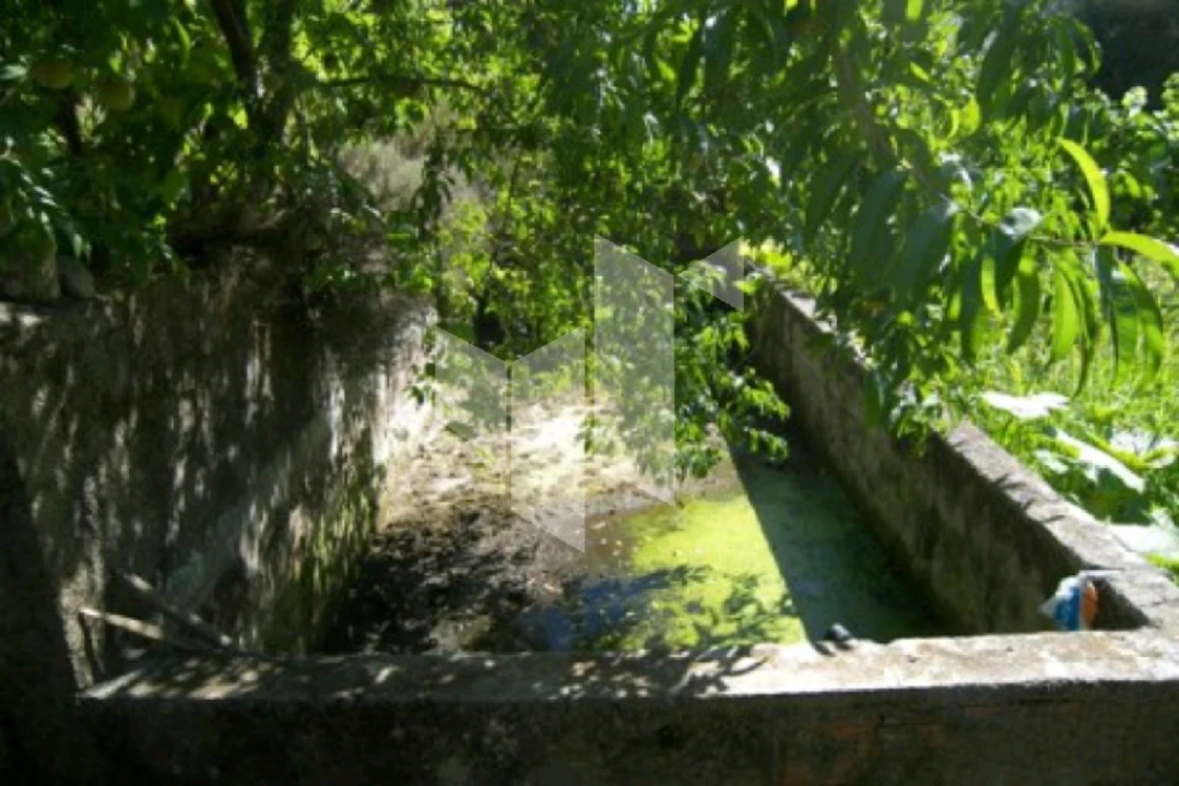 Quinta T0 para Venda em Campo de Besteiros Foto 6