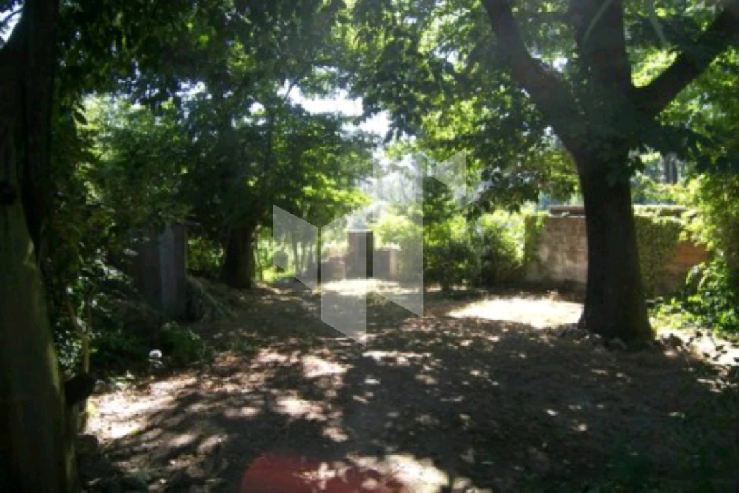 Quinta T0 para Venda em Campo de Besteiros Foto 3