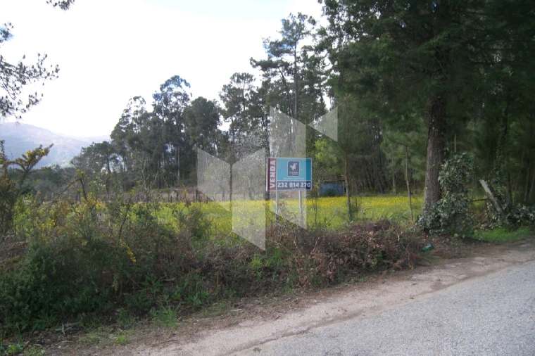 Quinta T0 para Venda em Campo de Besteiros Foto 13