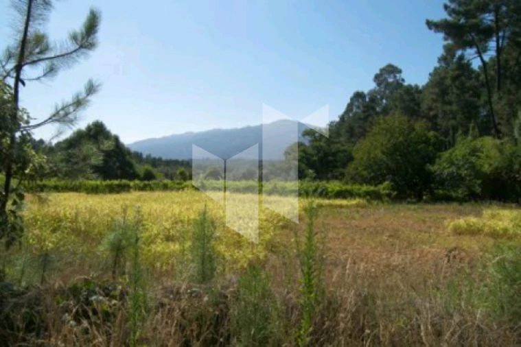 Quinta T0 para Venda em Campo de Besteiros Foto 2