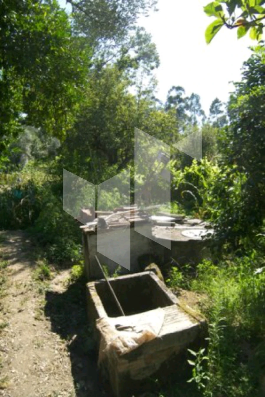 Quinta T0 para Venda em Campo de Besteiros Foto 4