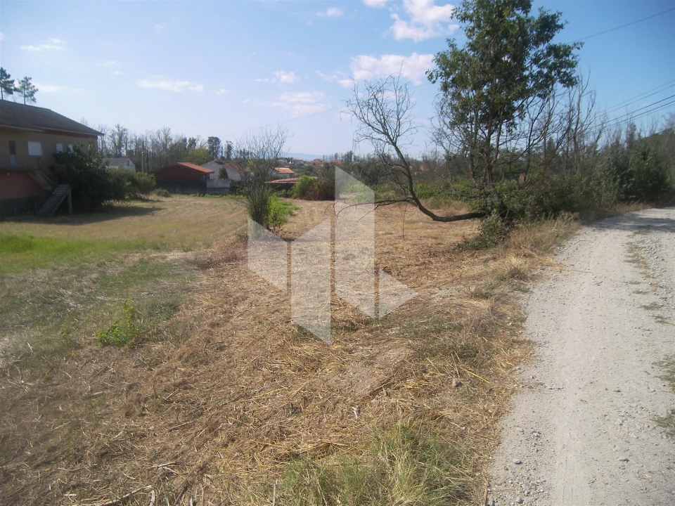 Terreno para Venda em Pinheiro de Azere Foto 1