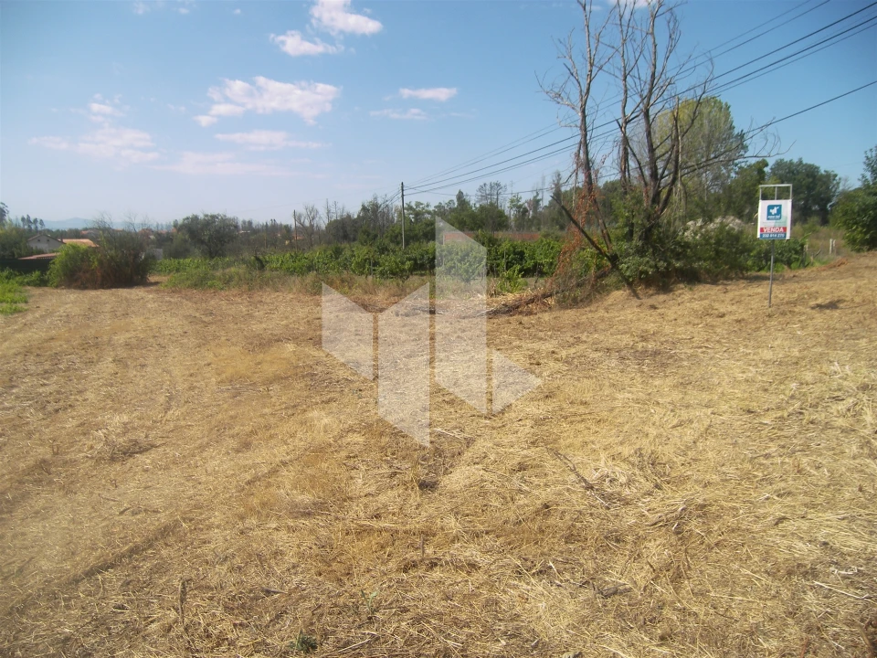Terreno para Venda em Pinheiro de Azere Foto 4