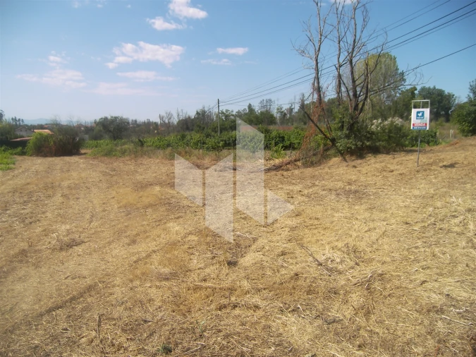 Terreno para Venda em Pinheiro de Azere Foto 4