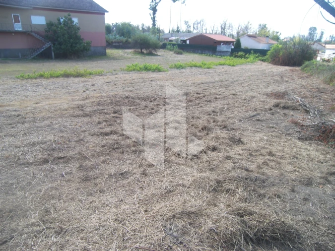 Terreno para Venda em Pinheiro de Azere Foto 3