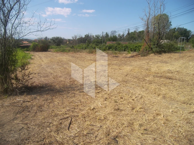 Terreno para Venda em Pinheiro de Azere Foto 2