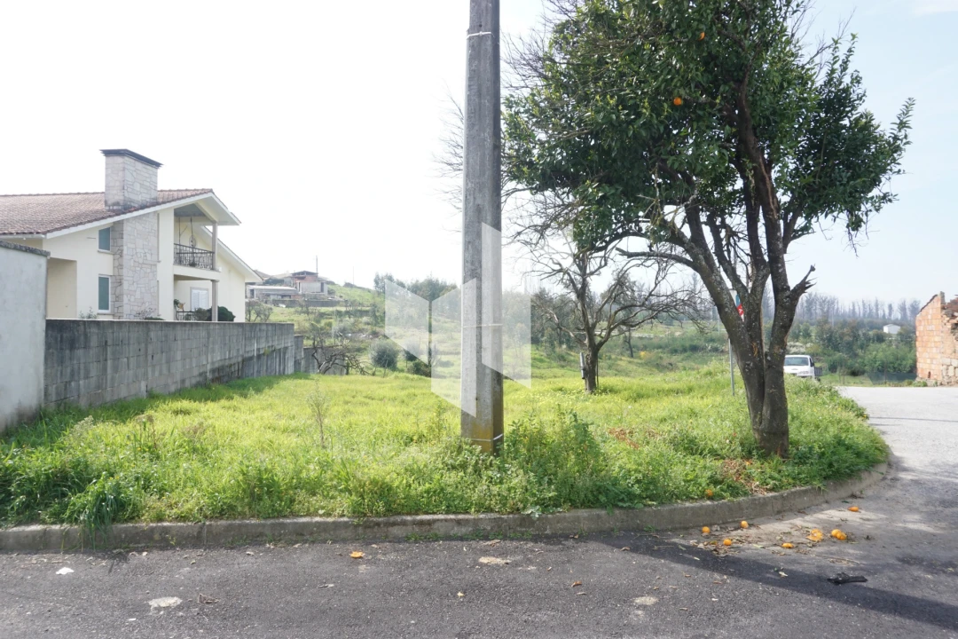 Terreno para Venda em Tondela e Nandufe Foto 17
