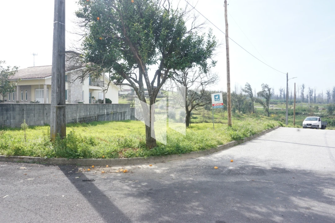 Terreno para Venda em Tondela e Nandufe Foto 2