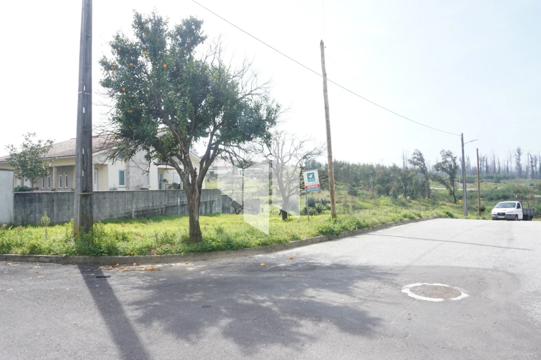 Terreno para Venda em Tondela e Nandufe Foto 1