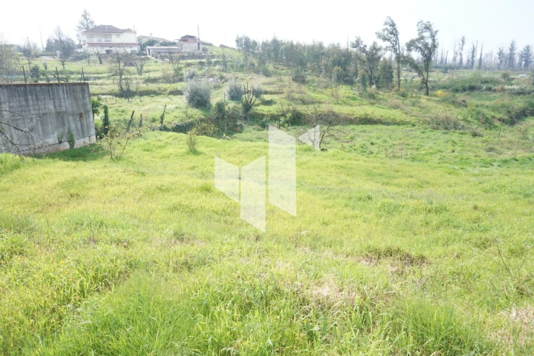 Terreno para Venda em Tondela e Nandufe Foto 10