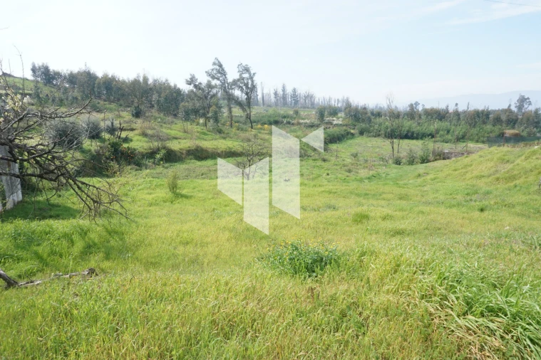 Terreno para Venda em Tondela e Nandufe Foto 14