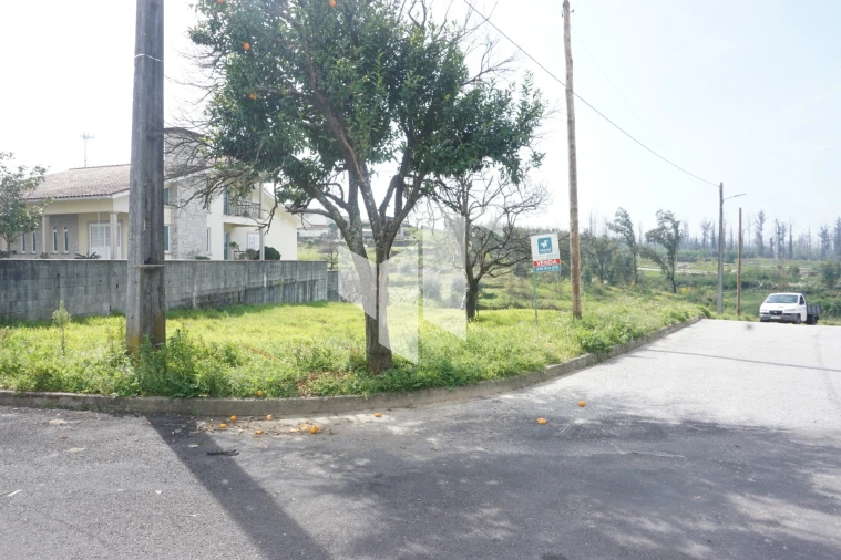 Terreno para Venda em Tondela e Nandufe Foto 2