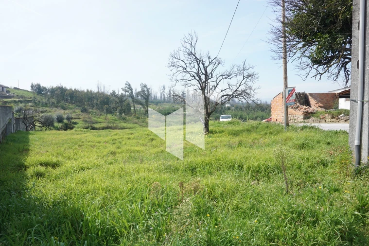Terreno para Venda em Tondela e Nandufe Foto 18