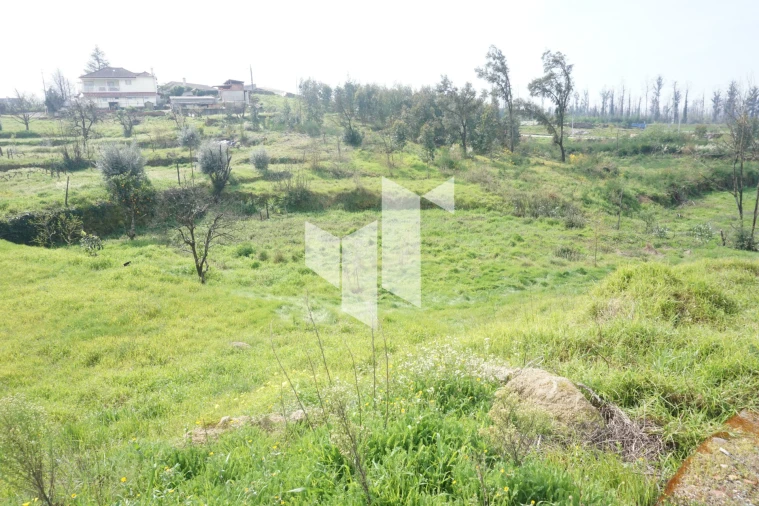 Terreno para Venda em Tondela e Nandufe Foto 7