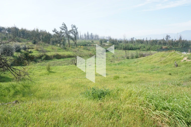 Terreno para Venda em Tondela e Nandufe Foto 11