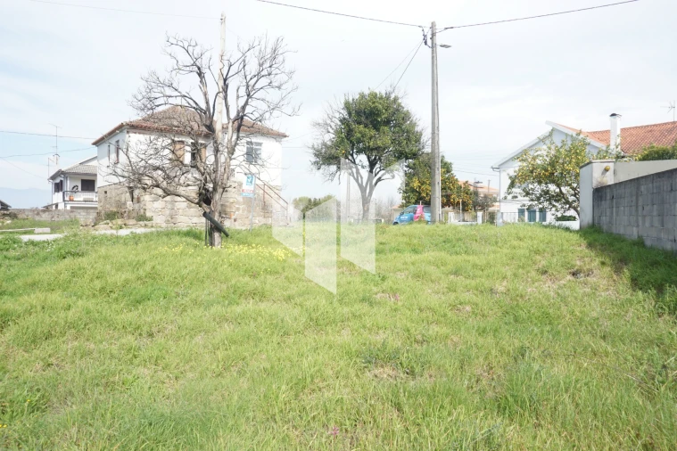 Terreno para Venda em Tondela e Nandufe Foto 15