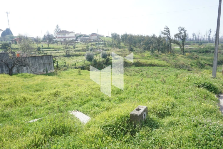 Terreno para Venda em Tondela e Nandufe Foto 5
