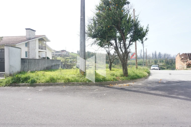 Terreno para Venda em Tondela e Nandufe Foto 16