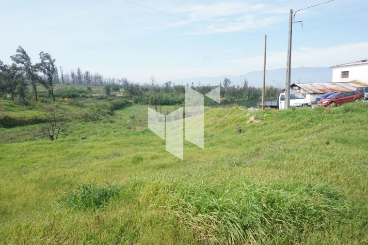 Terreno para Venda em Tondela e Nandufe Foto 13